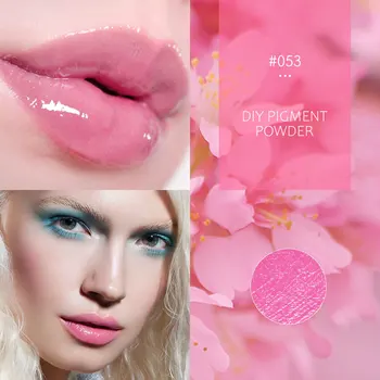 1g Pigment Tozu Dıy dudak parlatıcı tozu Malzeme Dudak Sır Pigment DIY Lipgloss Yapma Kiti Uzun Ömürlü Dudaklar Makyaj
